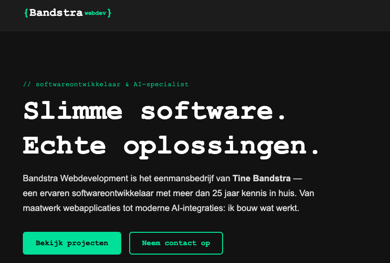 Bandstra Webdevelopment website showcase